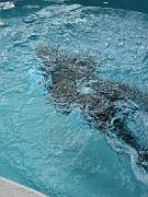 Patrick 21st birthday 017